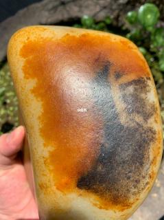 什么是和田玉籽料里大开门的皮子