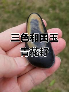 和田玉三色青花籽料,墨聚成宝