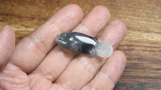 和田玉籽料青花玉的鉴别特征有哪些